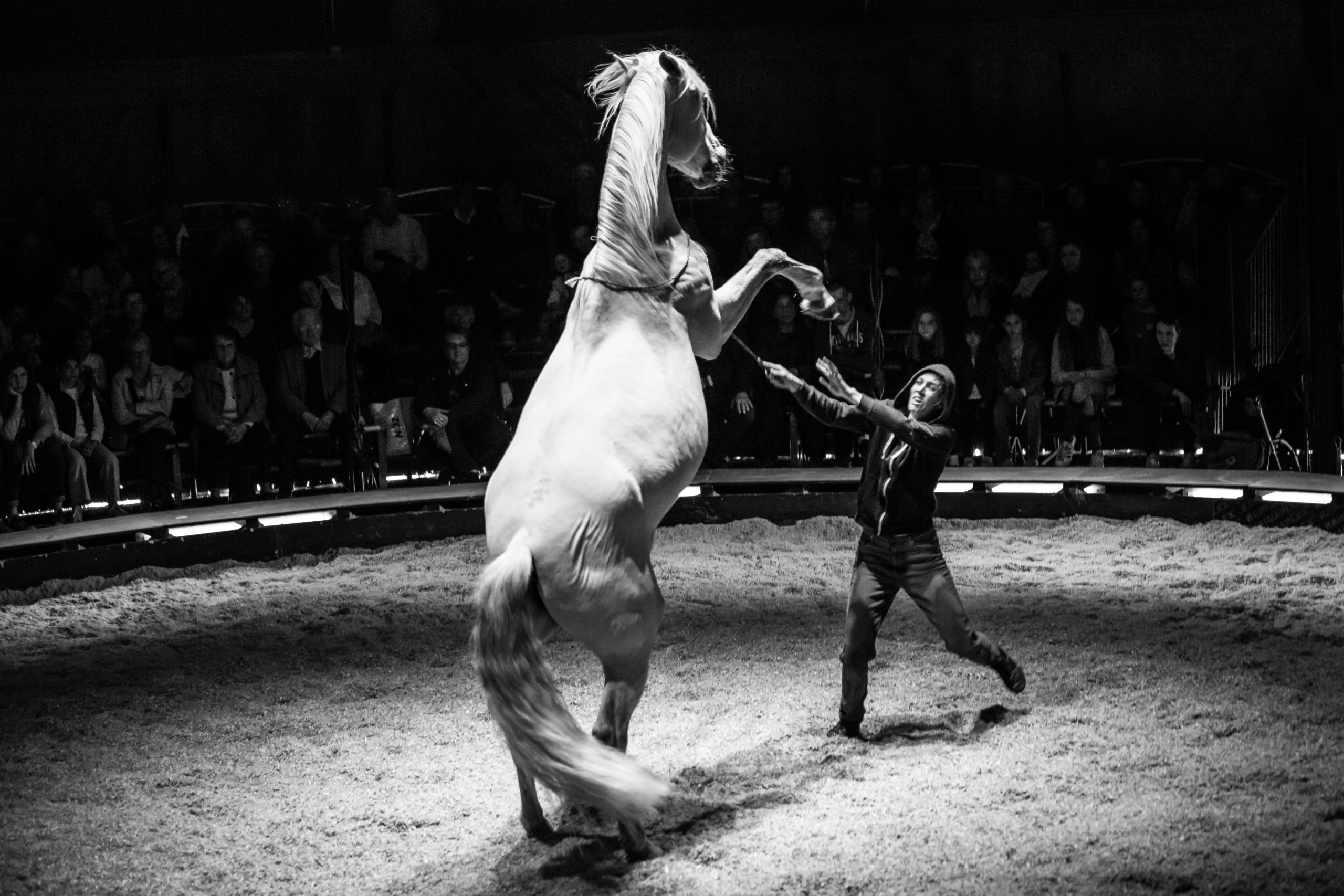 Cie Equinote